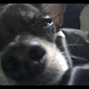 Meet your Posher, Matteo